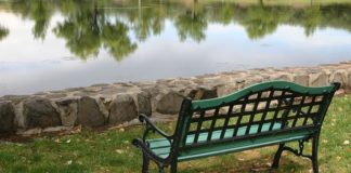 Nuova vita alla panchina 869 0 NUOVA VITA ALLA PANCHINA